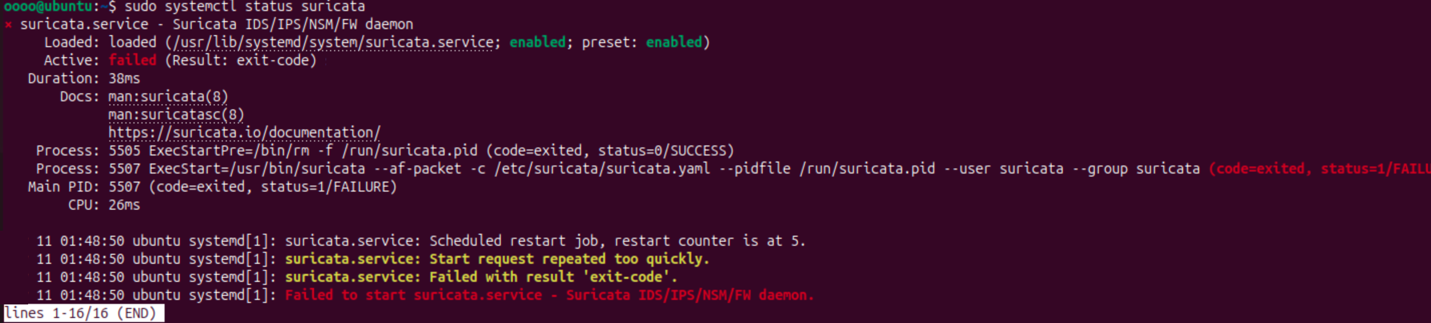 image-20251111115419658