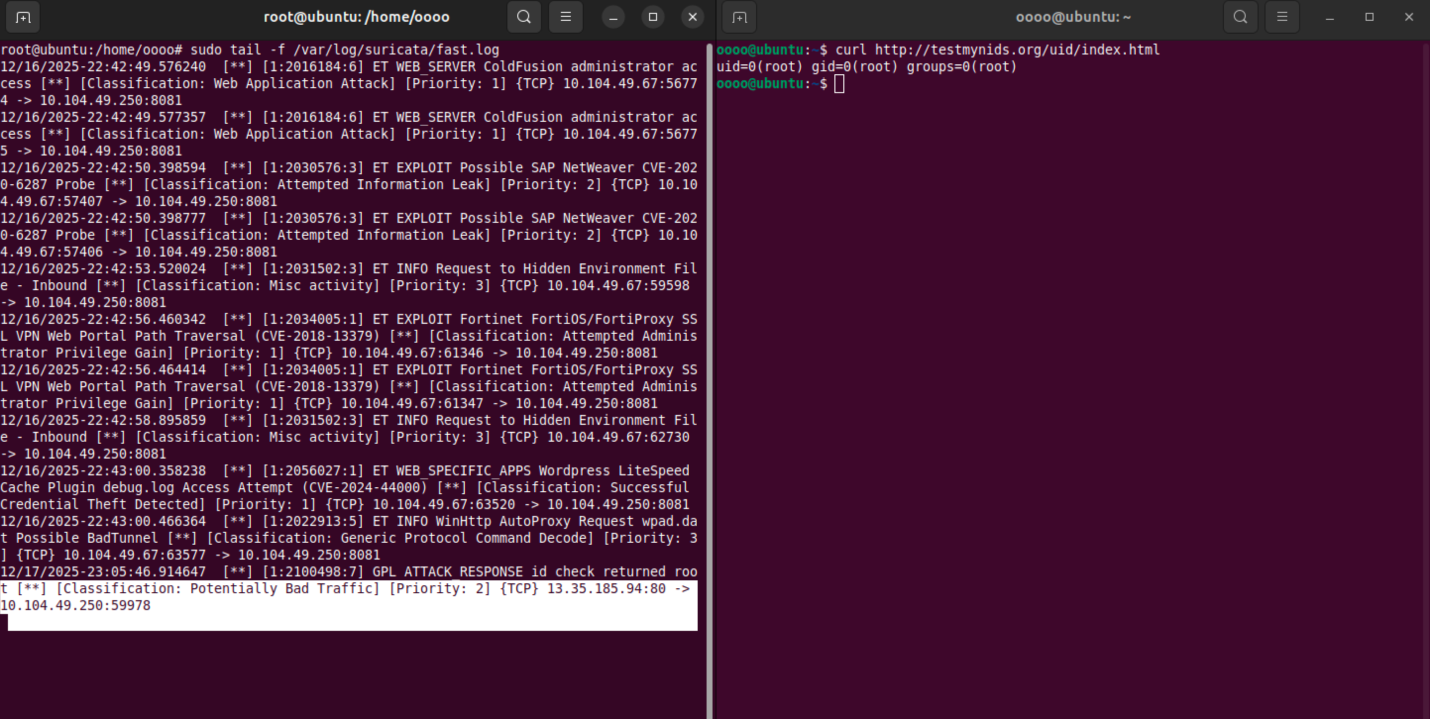 image-20251217170616628