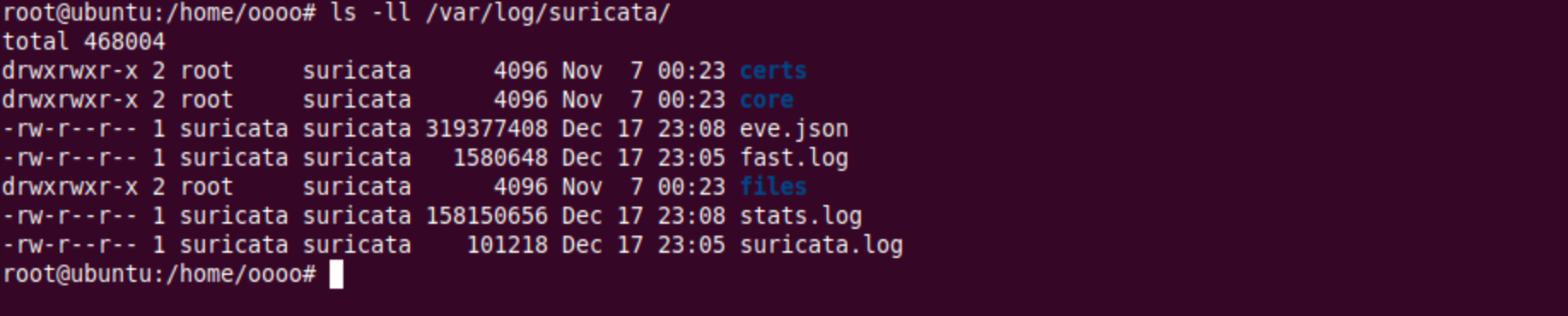 image-20251217170901947